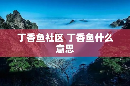 丁香鱼社区 丁香鱼什么意思