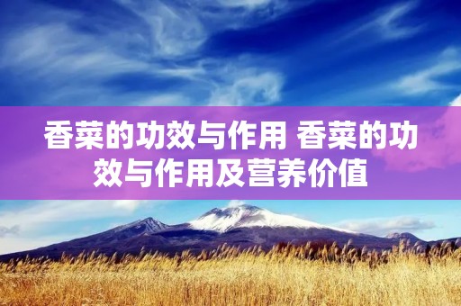 香菜的功效与作用 香菜的功效与作用及营养价值