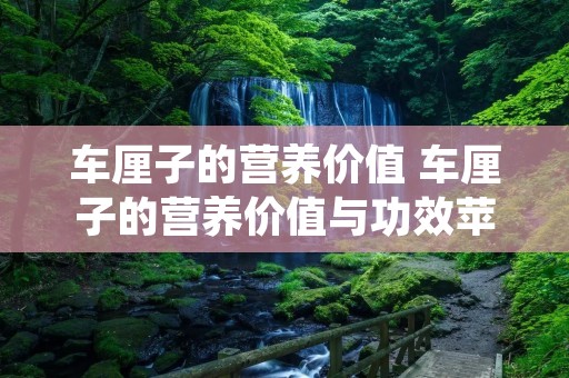 车厘子的营养价值 车厘子的营养价值与功效苹果绿