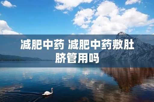 减肥中药 减肥中药敷肚脐管用吗 减肥中药 减肥中药敷肚脐管用吗