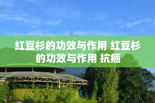 红豆杉的功效与作用 红豆杉的功效与作用 抗癌