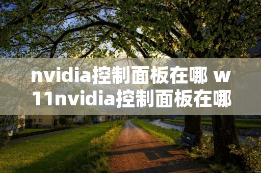nvidia控制面板在哪 w11nvidia控制面板在哪 nvidia控制面板在哪 w11nvidia控制面板在哪