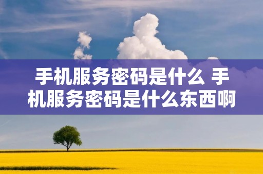手机服务密码是什么 手机服务密码是什么东西啊 手机服务密码是什么 手机服务密码是什么东西啊