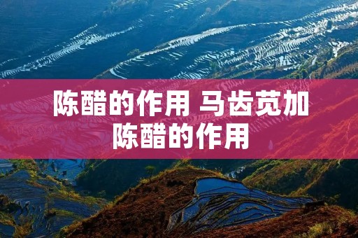 陈醋的作用 马齿苋加陈醋的作用