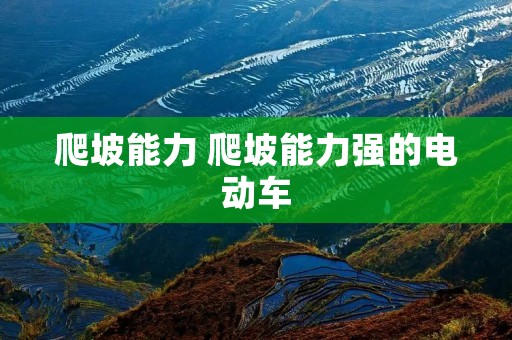 爬坡能力 爬坡能力强的电动车