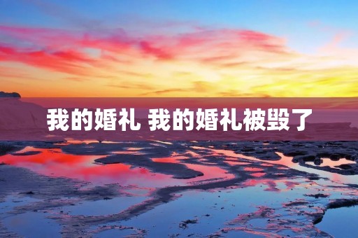 我的婚礼 我的婚礼被毁了