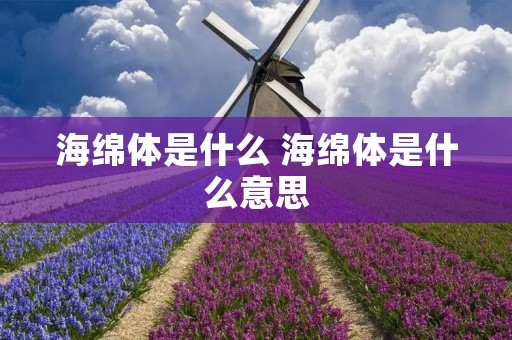 海绵体是什么 海绵体是什么意思 海绵体是什么 海绵体是什么意思
