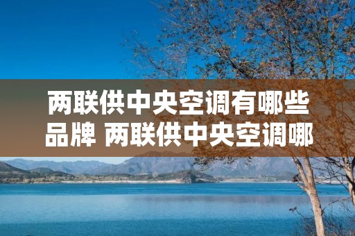 两联供中央空调有哪些品牌 两联供中央空调哪个好