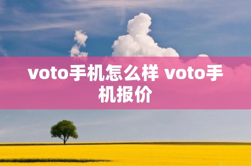 voto手机怎么样 voto手机报价