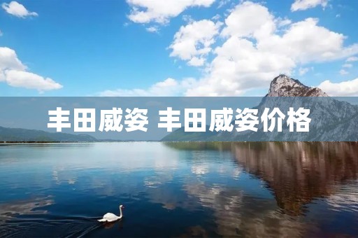 丰田威姿 丰田威姿价格
