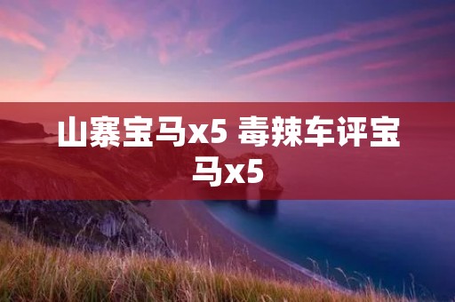 山寨宝马x5 毒辣车评宝马x5