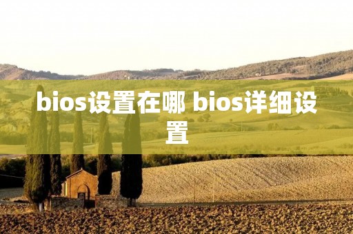 bios设置在哪 bios详细设置 bios设置在哪 bios详细设置