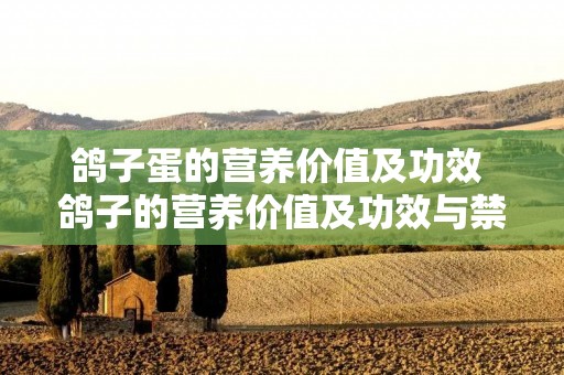 鸽子蛋的营养价值及功效 鸽子的营养价值及功效与禁忌