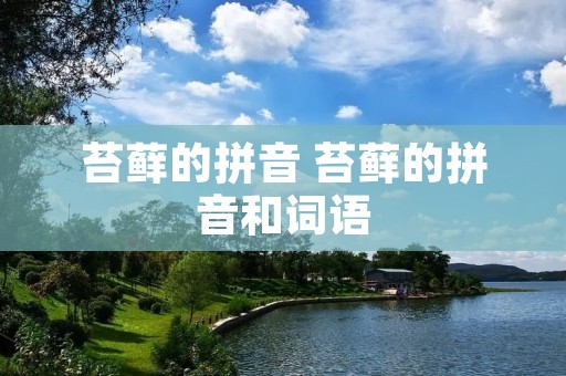 苔藓的拼音 苔藓的拼音和词语
