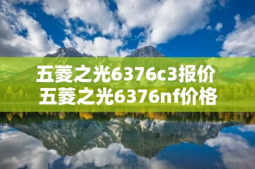 五菱之光6376c3报价 五菱之光6376nf价格