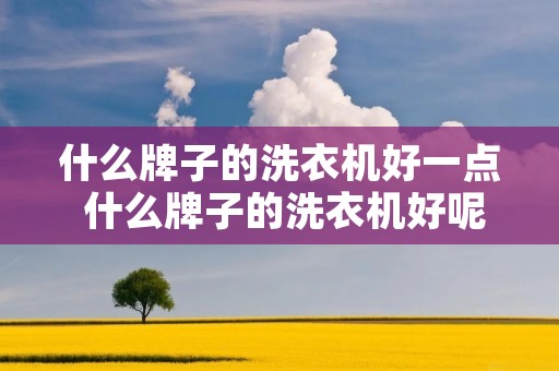 什么牌子的洗衣机好一点 什么牌子的洗衣机好呢
