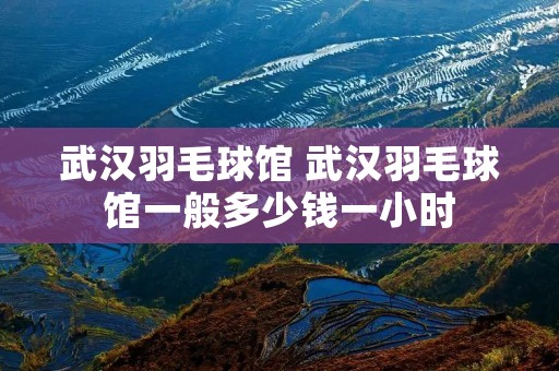 武汉羽毛球馆 武汉羽毛球馆一般多少钱一小时