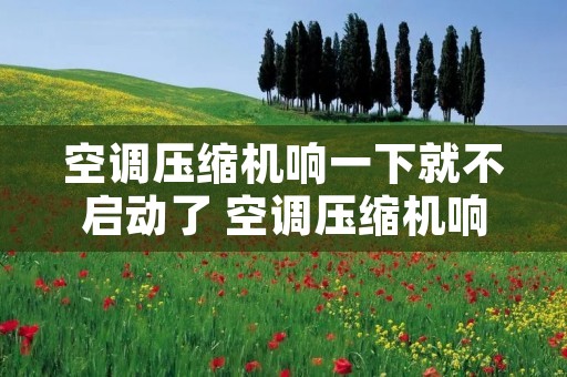 空调压缩机响一下就不启动了 空调压缩机响一下就停不制冷