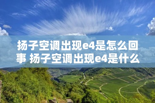 扬子空调出现e4是怎么回事 扬子空调出现e4是什么意思