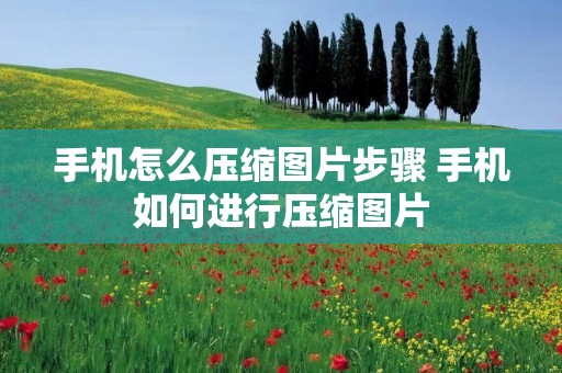 手机怎么压缩图片步骤 手机如何进行压缩图片
