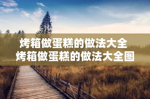 烤箱做蛋糕的做法大全 烤箱做蛋糕的做法大全图解