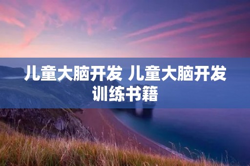 儿童大脑开发 儿童大脑开发训练书籍