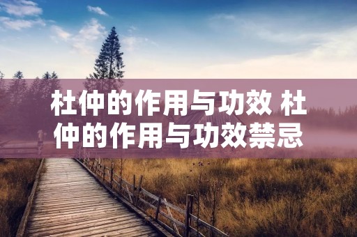 杜仲的作用与功效 杜仲的作用与功效禁忌