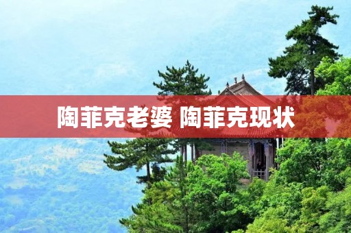 陶菲克老婆 陶菲克现状