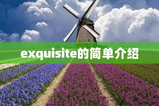 exquisite的简单介绍