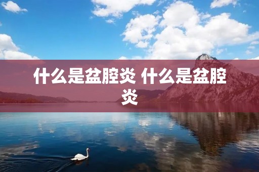 什么是盆腔炎 什么是盆腔炎 什么是盆腔炎 什么是盆腔炎