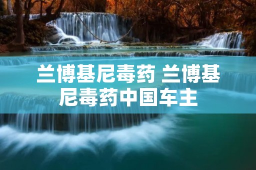 兰博基尼毒药 兰博基尼毒药中国车主 兰博基尼毒药 兰博基尼毒药中国车主