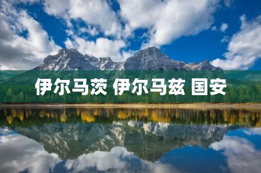 伊尔马茨 伊尔马兹 国安