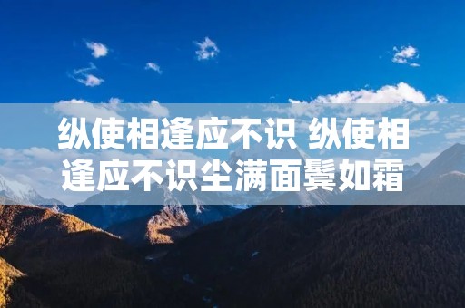纵使相逢应不识 纵使相逢应不识尘满面鬓如霜翻译