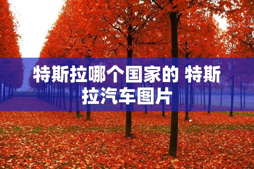 特斯拉哪个国家的 特斯拉汽车图片