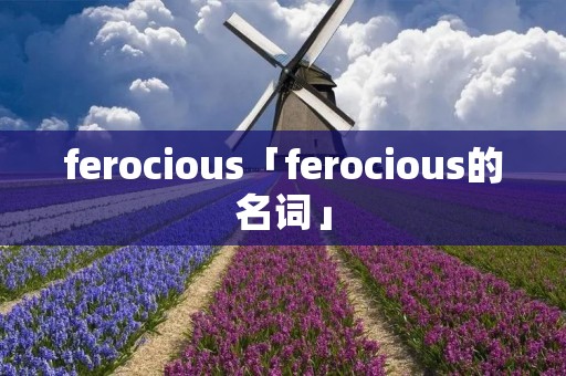 ferocious「ferocious的名词」
