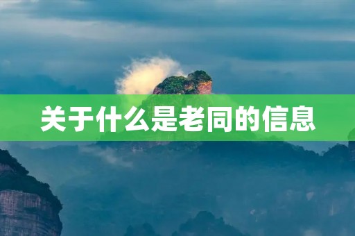 关于什么是老同的信息 关于什么是老同的信息