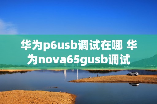 华为p6usb调试在哪 华为nova65gusb调试