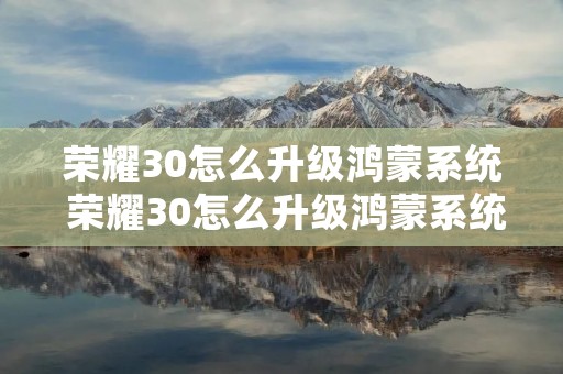 荣耀30怎么升级鸿蒙系统 荣耀30怎么升级鸿蒙系统教程 荣耀30怎么升级鸿蒙系统 荣耀30怎么升级鸿蒙系统教程