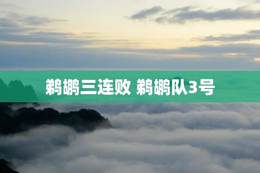 鹈鹕三连败 鹈鹕队3号 鹈鹕三连败 鹈鹕队3号