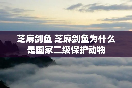 芝麻剑鱼 芝麻剑鱼为什么是国家二级保护动物 芝麻剑鱼 芝麻剑鱼为什么是国家二级保护动物