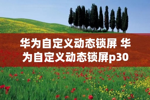 华为自定义动态锁屏 华为自定义动态锁屏p30