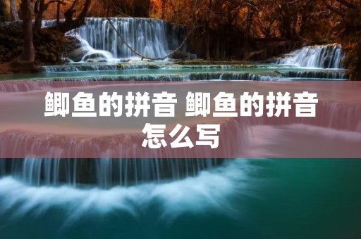 鲫鱼的拼音 鲫鱼的拼音怎么写