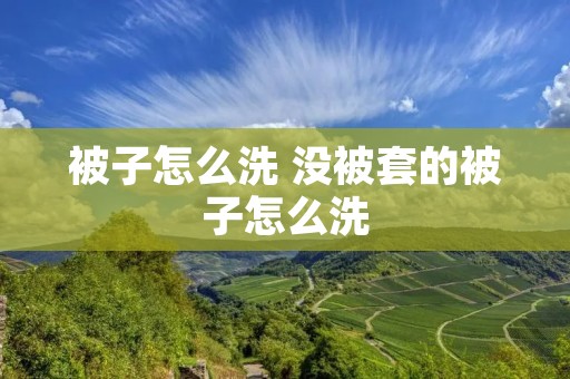 被子怎么洗 没被套的被子怎么洗 被子怎么洗 没被套的被子怎么洗
