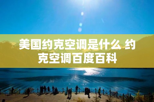美国约克空调是什么 约克空调百度百科