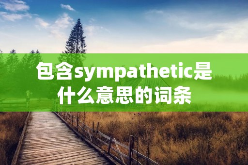 包含sympathetic是什么意思的词条 包含sympathetic是什么意思的词条