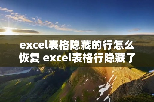 excel表格隐藏的行怎么恢复 excel表格行隐藏了怎么恢复 excel表格隐藏的行怎么恢复 excel表格行隐藏了怎么恢复