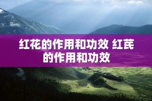 红花的作用和功效 红芪的作用和功效 红花的作用和功效 红芪的作用和功效
