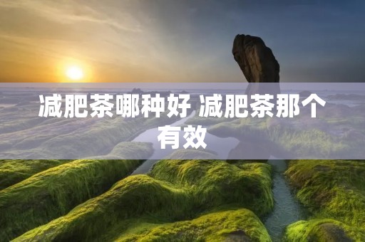 减肥茶哪种好 减肥茶那个有效 减肥茶哪种好 减肥茶那个有效