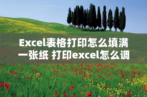 Excel表格打印怎么填满一张纸 打印excel怎么调到适合a4纸