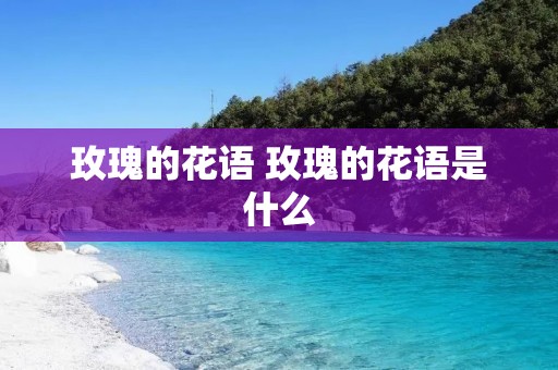 玫瑰的花语 玫瑰的花语是什么 玫瑰的花语 玫瑰的花语是什么